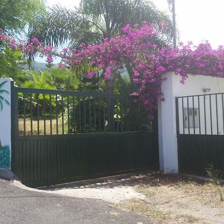 Finca Las Palmeras Icod De Los Vinos Exteriér fotografie