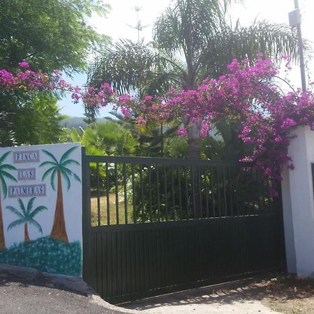 Finca Las Palmeras Icod De Los Vinos Exteriér fotografie
