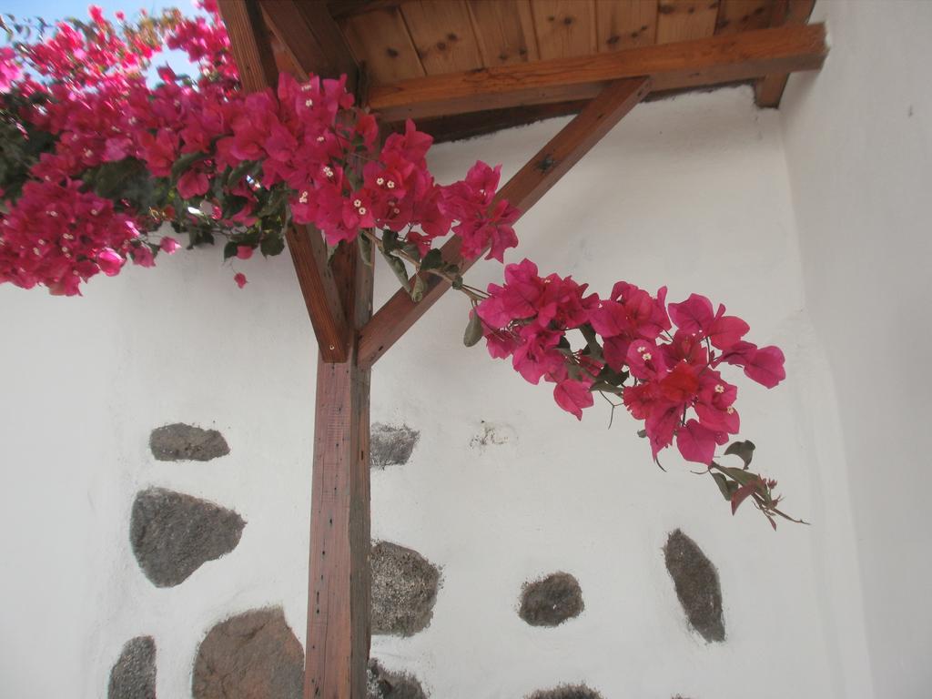 Finca Las Palmeras Icod De Los Vinos Exteriér fotografie