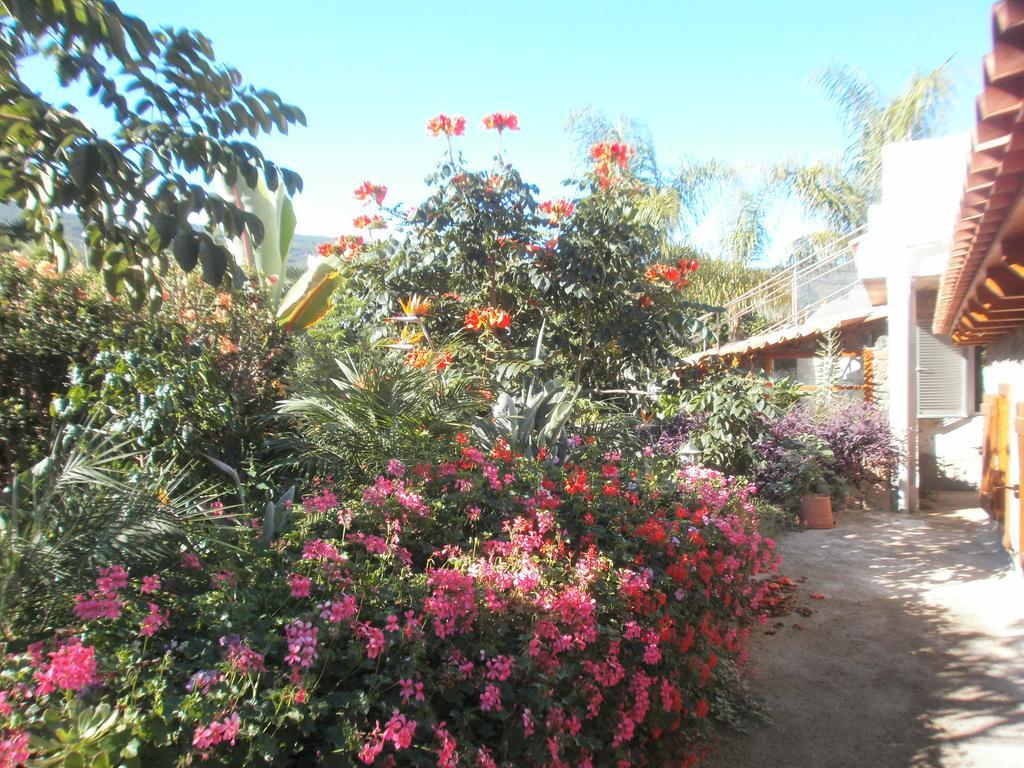 Finca Las Palmeras Icod De Los Vinos Pokoj fotografie