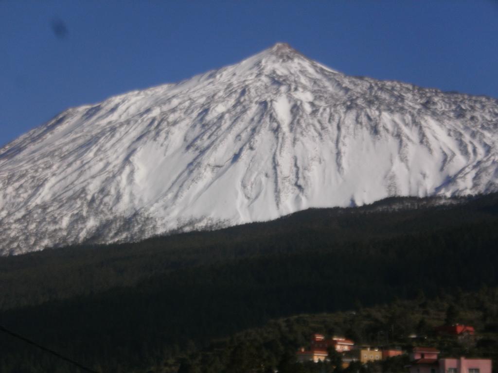 Finca Las Palmeras Icod De Los Vinos Exteriér fotografie