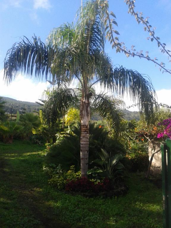 Finca Las Palmeras Icod De Los Vinos Pokoj fotografie