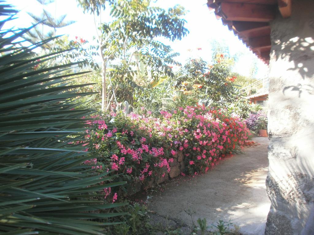 Finca Las Palmeras Icod De Los Vinos Exteriér fotografie