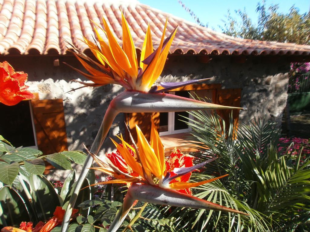 Finca Las Palmeras Icod De Los Vinos Exteriér fotografie