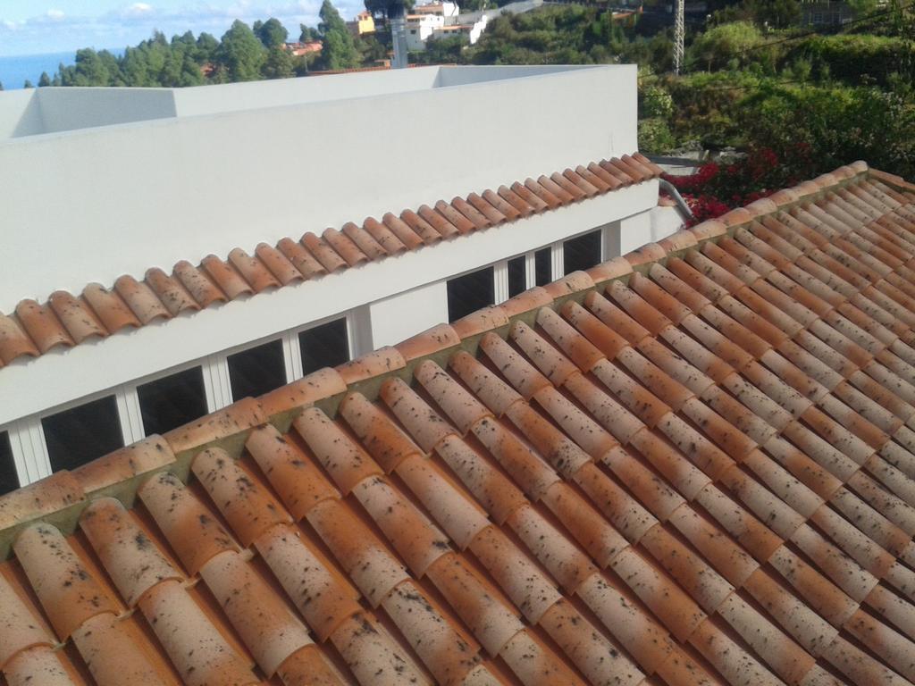 Finca Las Palmeras Icod De Los Vinos Pokoj fotografie