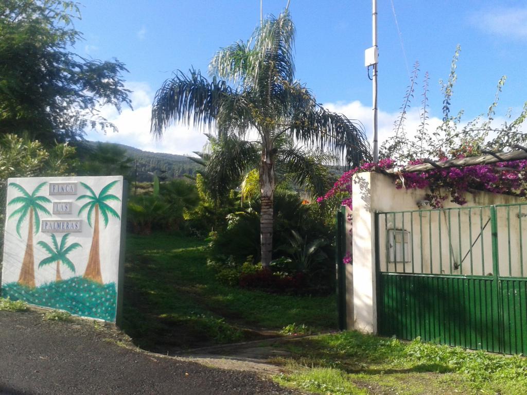 Finca Las Palmeras Icod De Los Vinos Exteriér fotografie