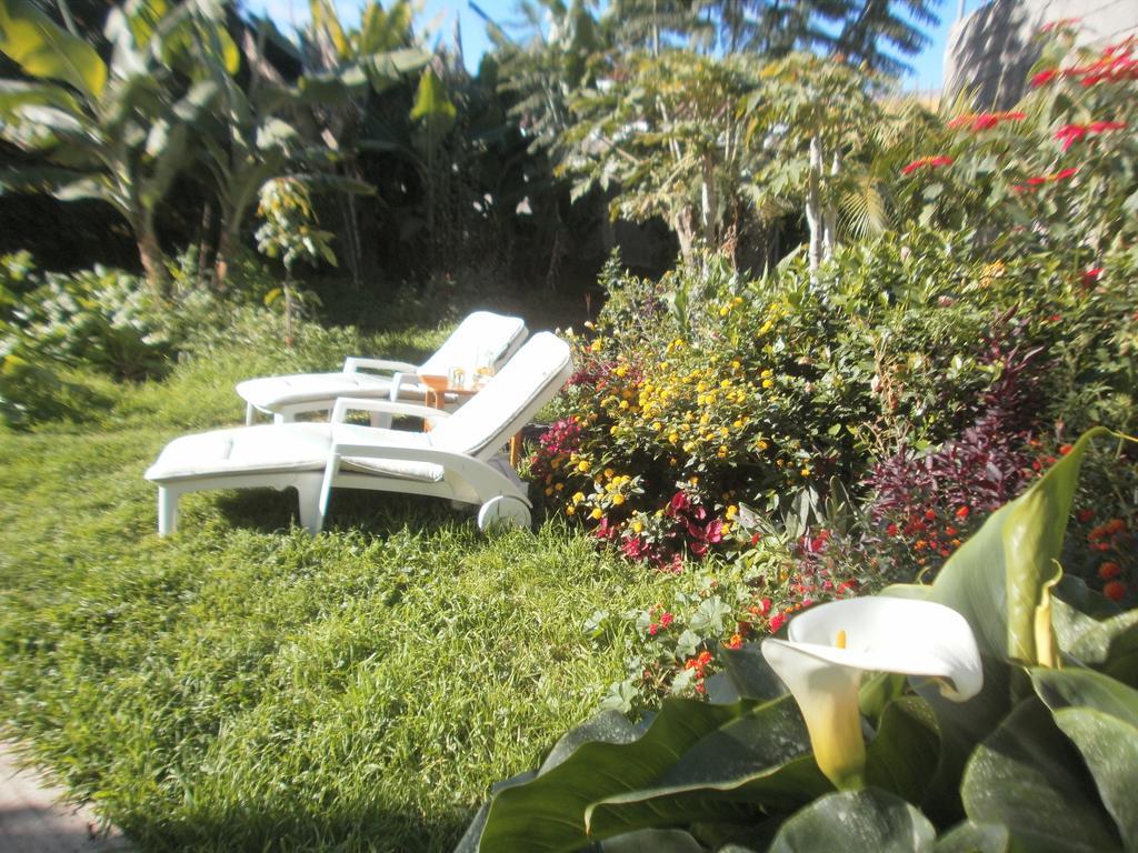 Finca Las Palmeras Icod De Los Vinos Pokoj fotografie