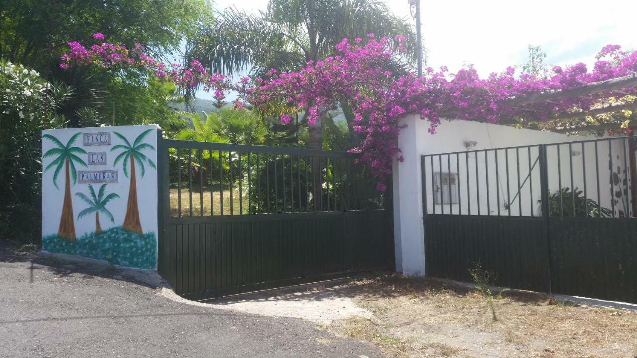 Finca Las Palmeras Icod De Los Vinos Exteriér fotografie