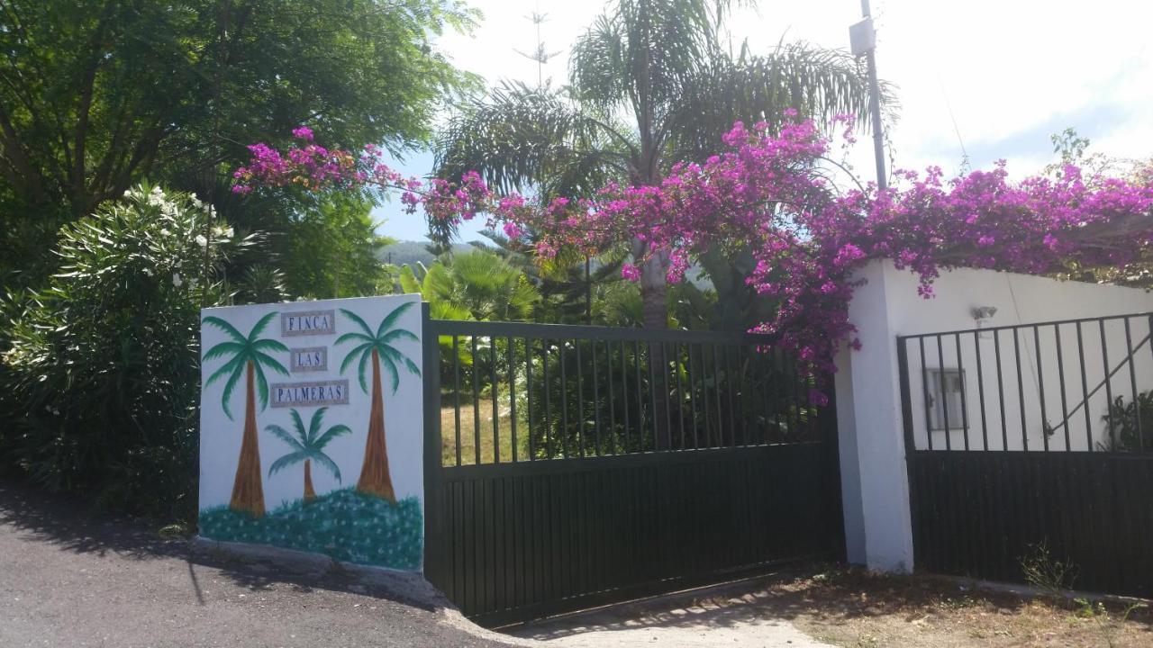 Finca Las Palmeras Icod De Los Vinos Exteriér fotografie